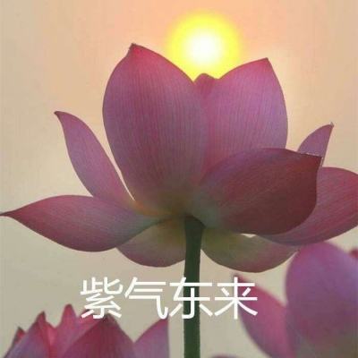 纯白魔女台服安装包下载
