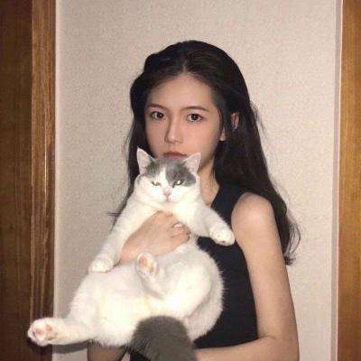 花与剑手游官方下载